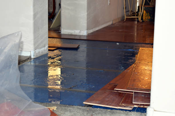 Professional Water Damage Restoration technician working in Leverett, MA